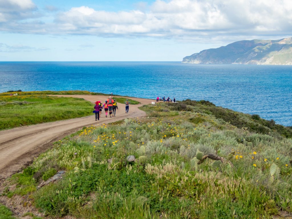 Catalina Island Marathon runners on trail with ocean view