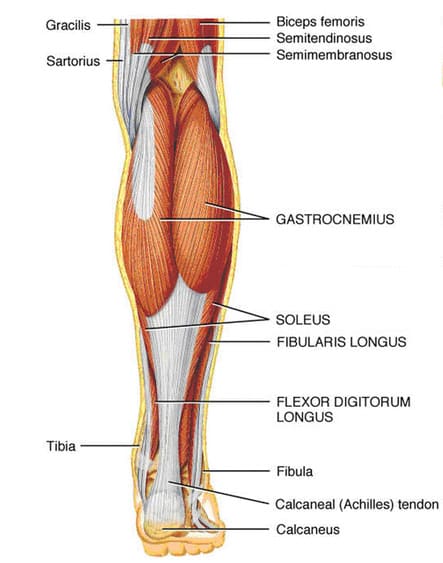 Achilles Tendinopathy